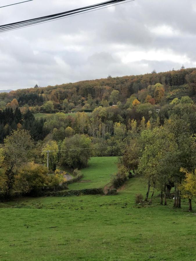 Ferme Fleurie Panzió Bergesserin Kültér fotó