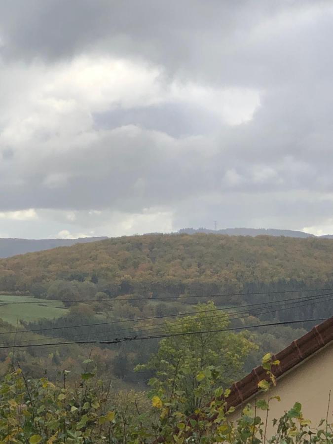 Ferme Fleurie Panzió Bergesserin Kültér fotó